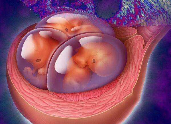 输卵管造影检查哪看不孕